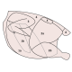 Fileni Diced Chicken