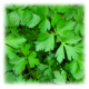 Del Monte Chopped And Peeled Parsley